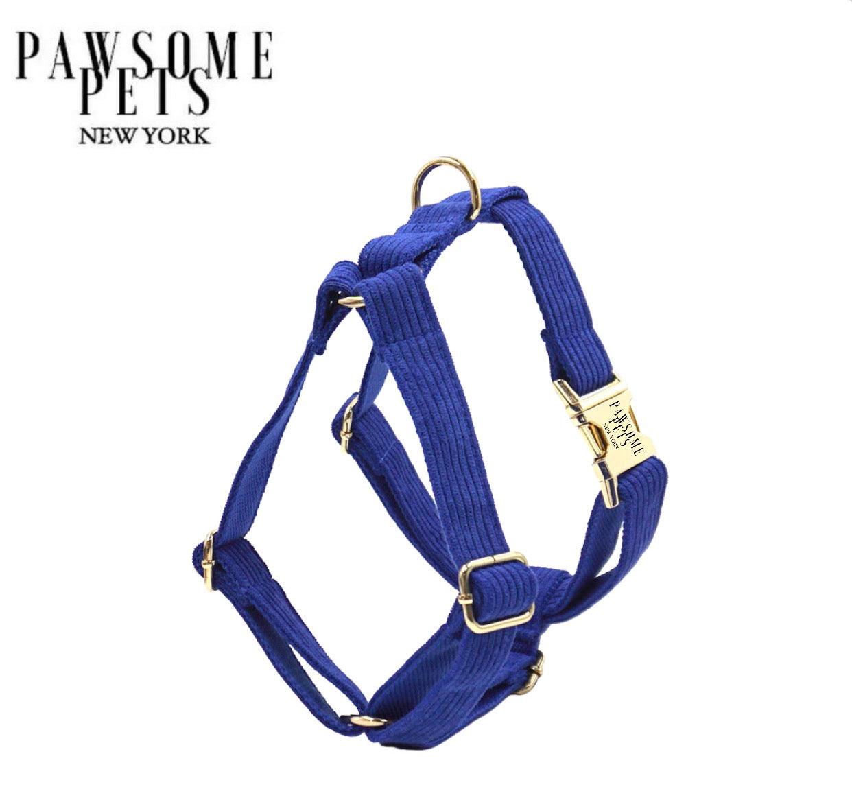 STEP IN HARNESS - BLUE - Pawsomepetsnewyork