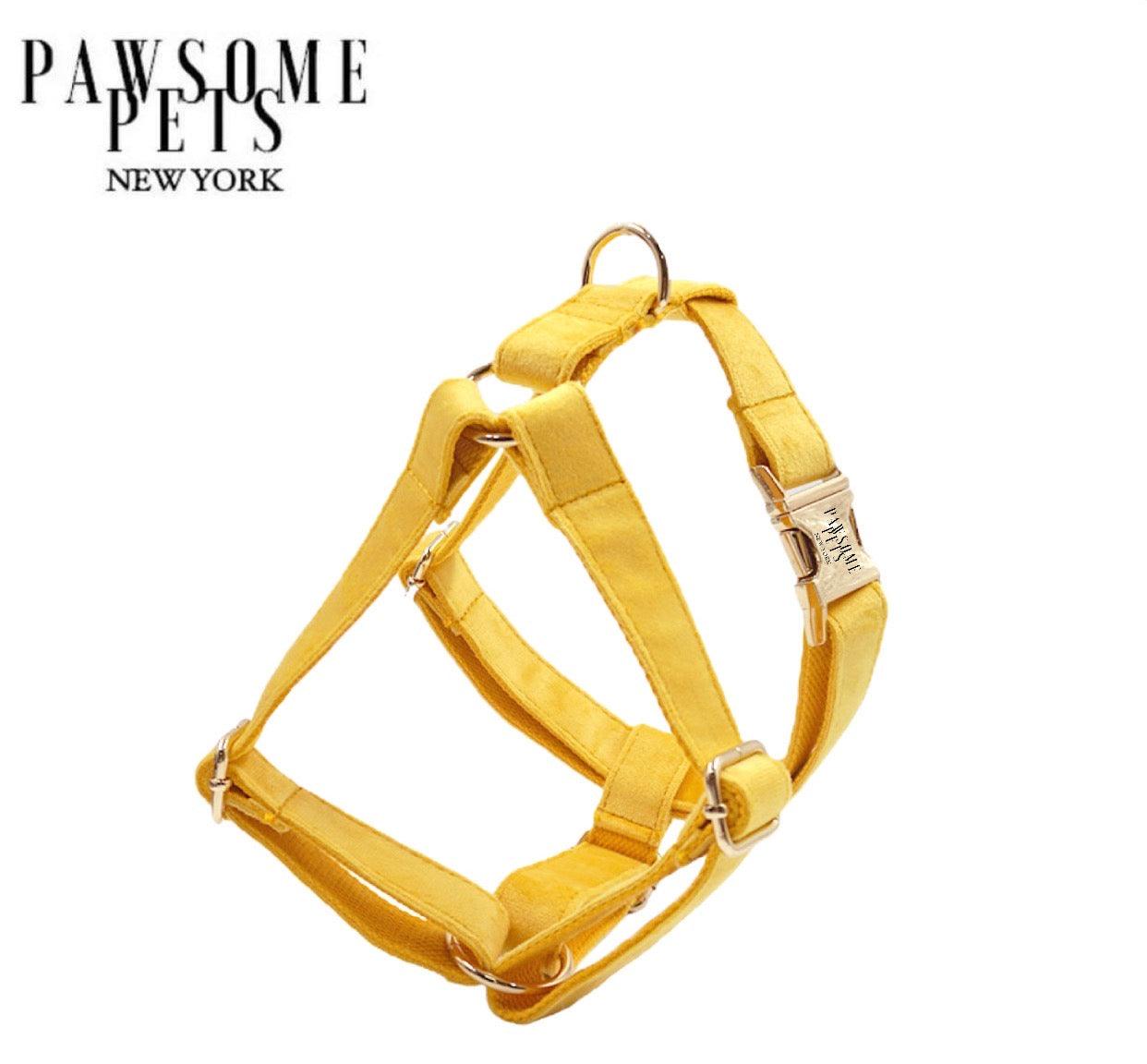 STEP IN HARNESS DARK YELLOW