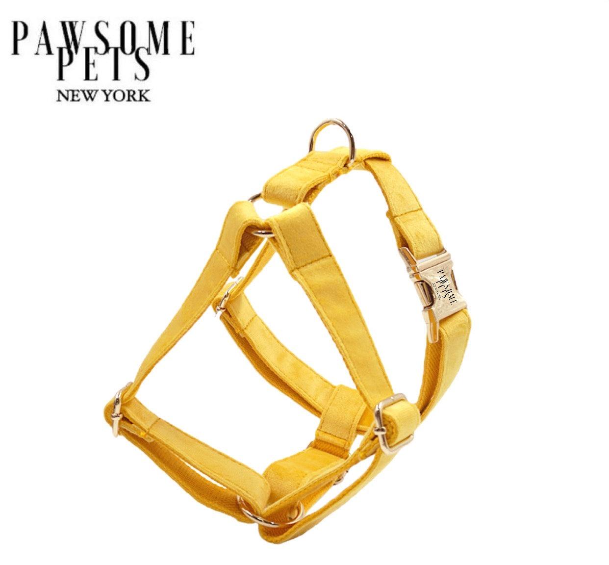 STEP IN HARNESS - DARK YELLOW - Pawsomepetsnewyork