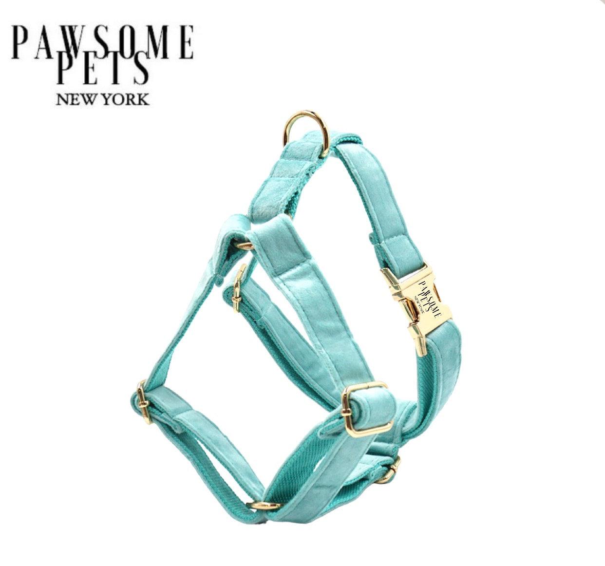 STEP IN HARNESS - MINT GREEN - Pawsomepetsnewyork