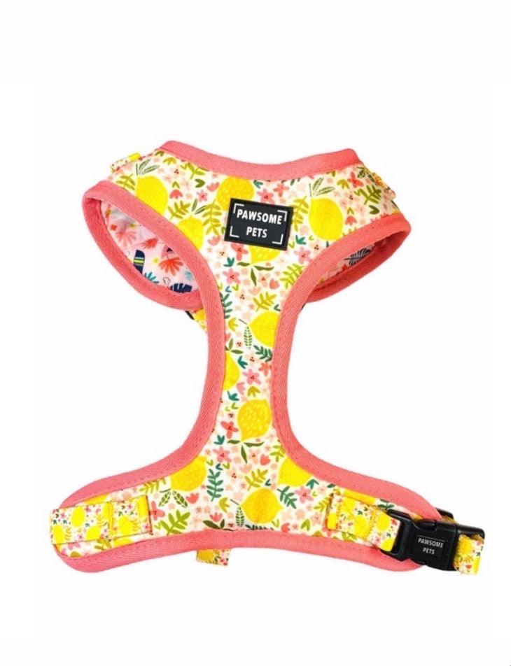 ADJUSTABLE HARNESS - OH MY LEMON - Pawsomepetsnewyork