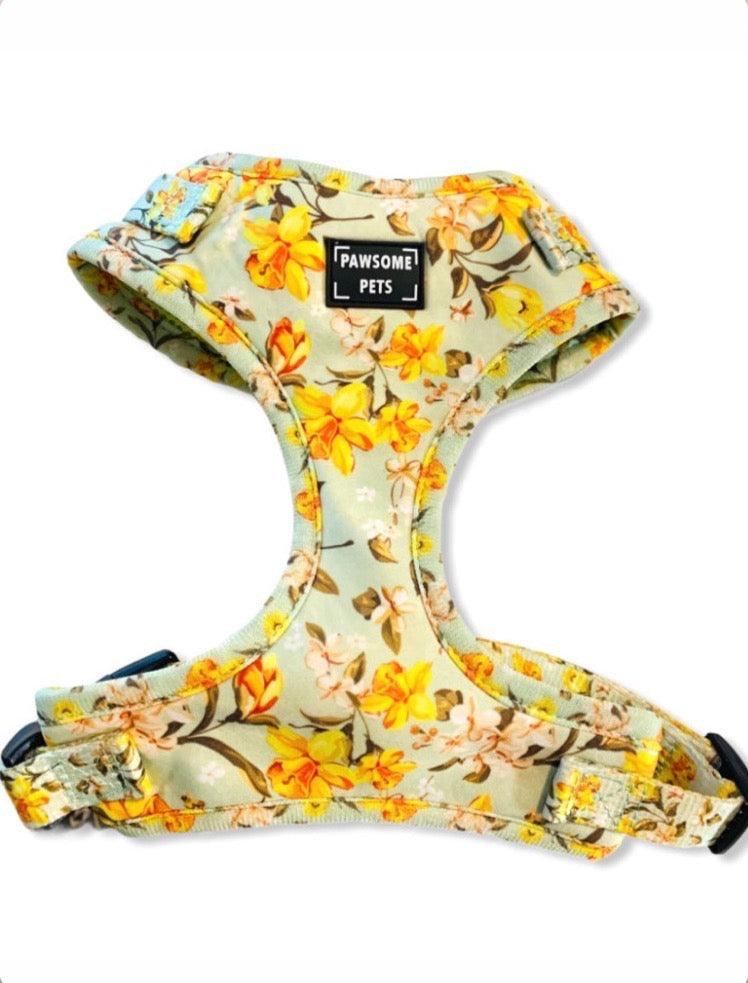 ADJUSTABLE HARNESS - FORSYTHIA FLOWER - Pawsomepetsnewyork