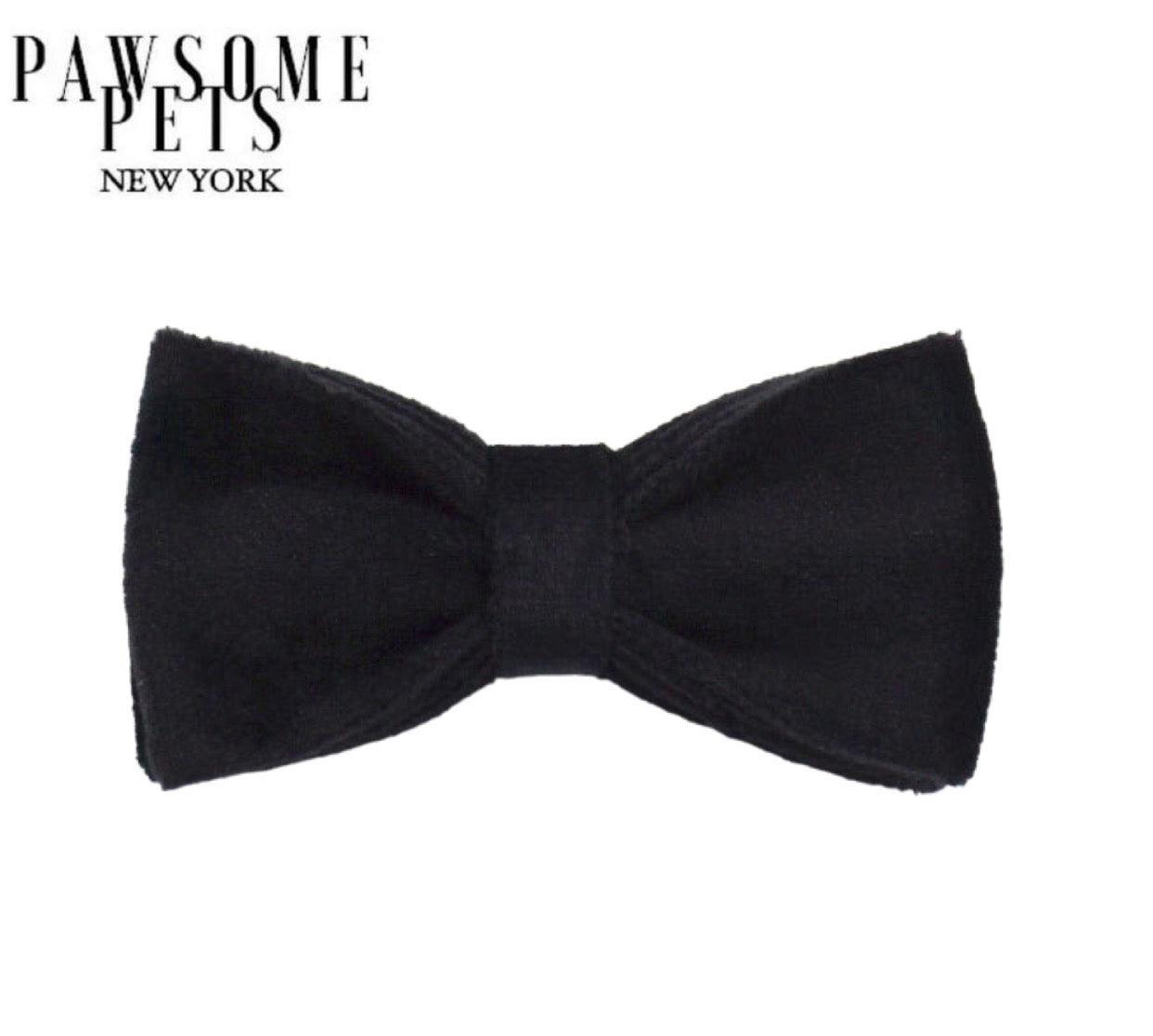 BOWTIE - BLACK - Pawsomepetsnewyork