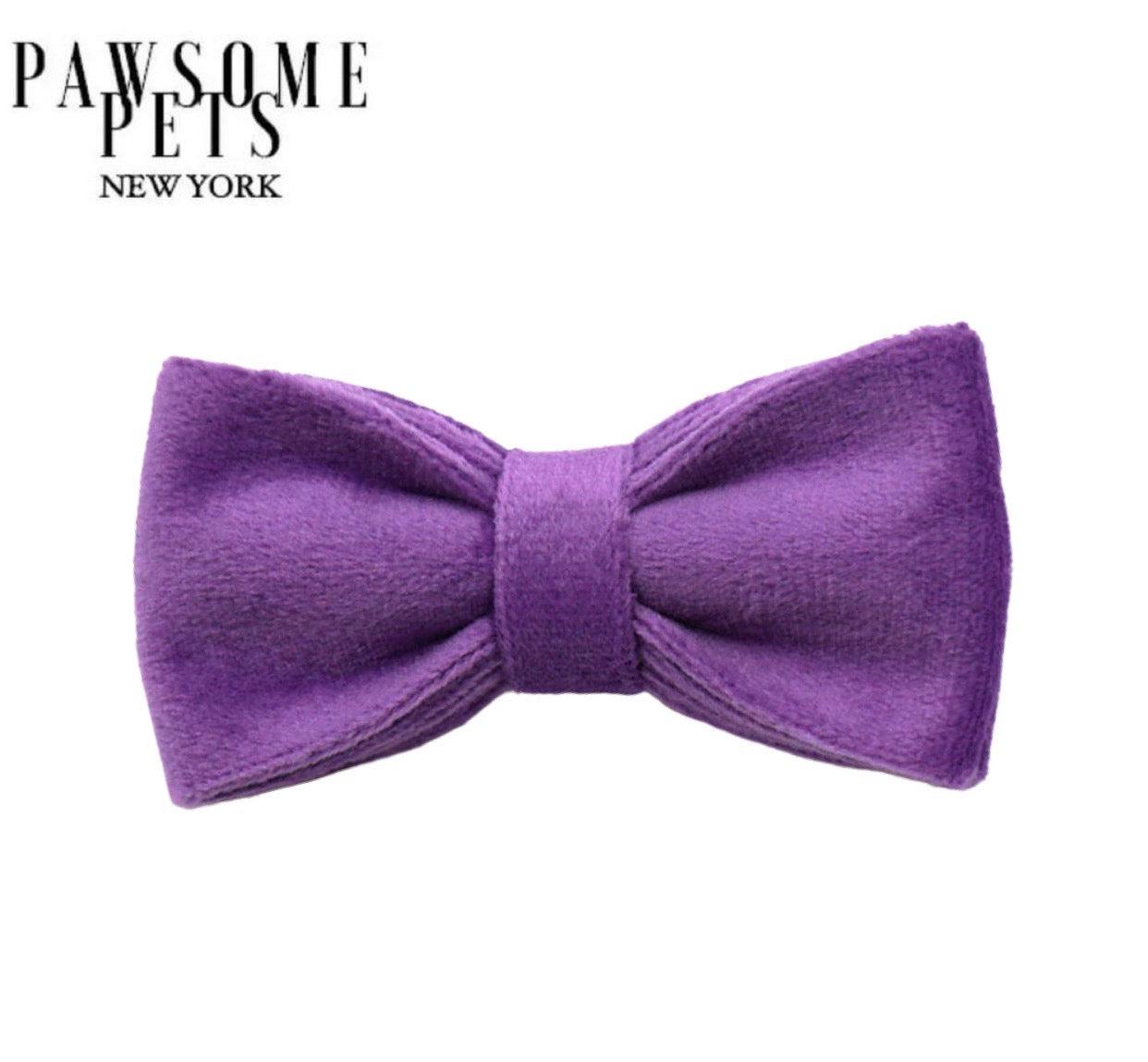 BOWTIE - DARK PURPLE - Pawsomepetsnewyork