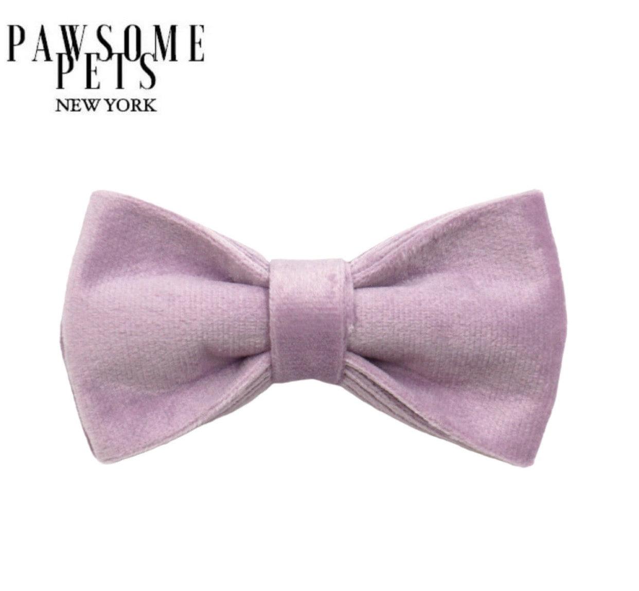 BOWTIE - LIGHT PURPLE - Pawsomepetsnewyork