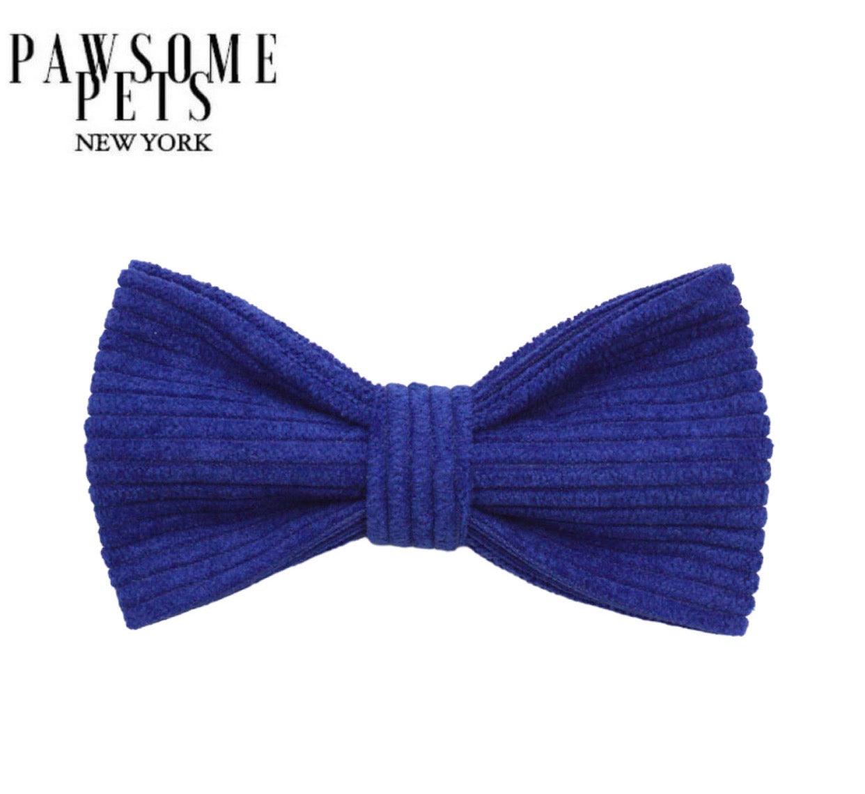 BOWTIE - VIVID LUE - Pawsomepetsnewyork