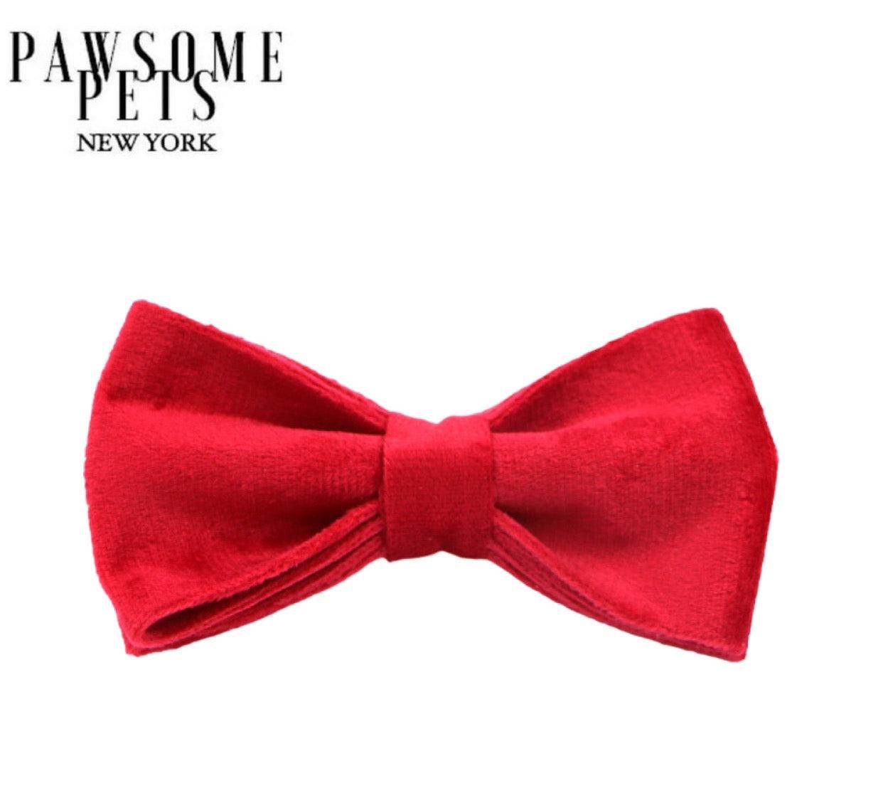 BOWTIE - RED - Pawsomepetsnewyork