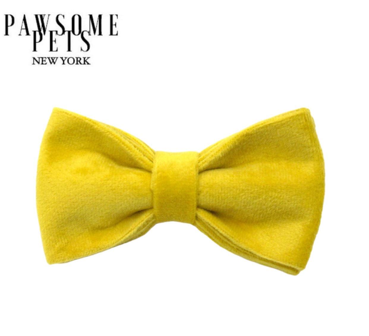 BOWTIE - BRIGHT YELLOW - Pawsomepetsnewyork