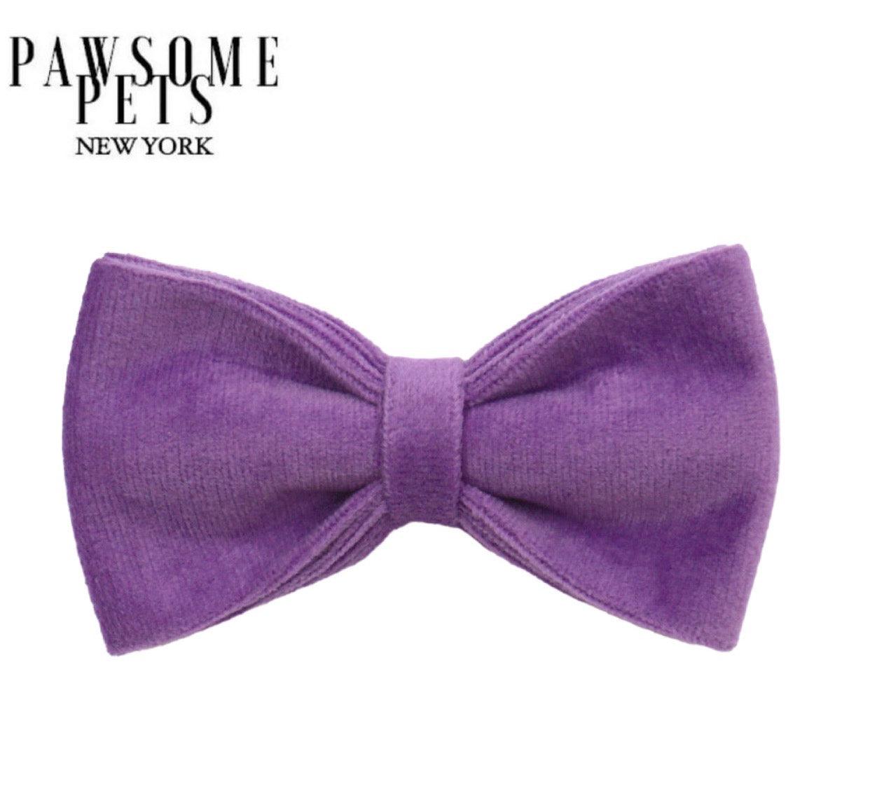 BOWTIE - DARK PURPLE - Pawsomepetsnewyork