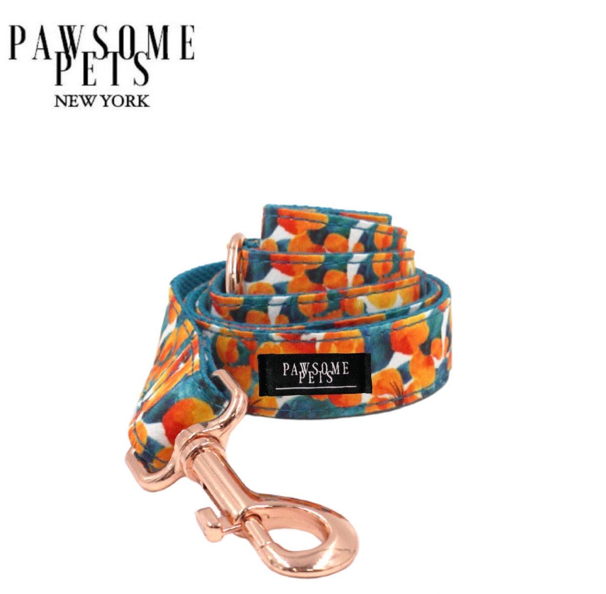 LEASH - AUTUMN - Pawsomepetsnewyork