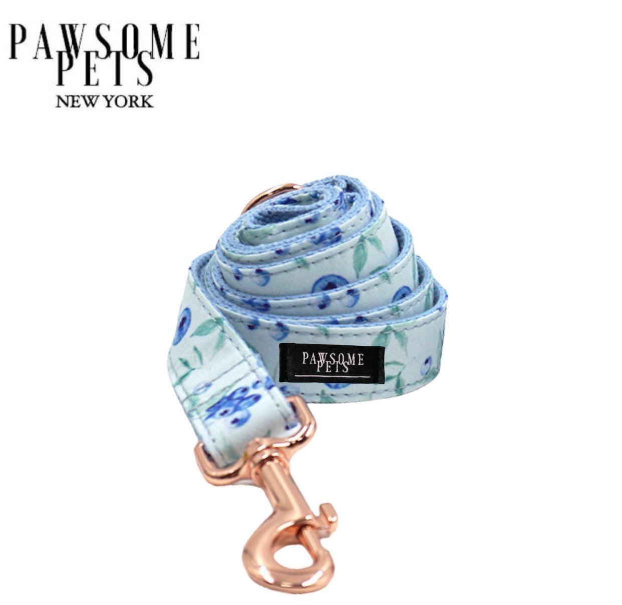 LEASH - BLUEBERRY - Pawsomepetsnewyork