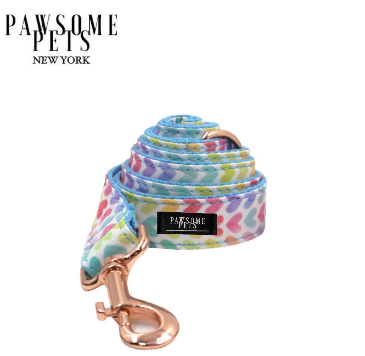 LEASH - RAINBOW - BLUE - GOLD - Pawsomepetsnewyork