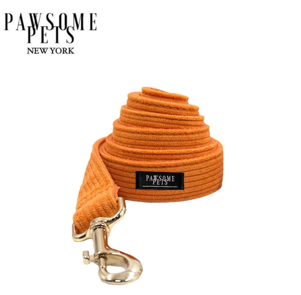 LEASH - LIGHT ORANGE - Pawsomepetsnewyork