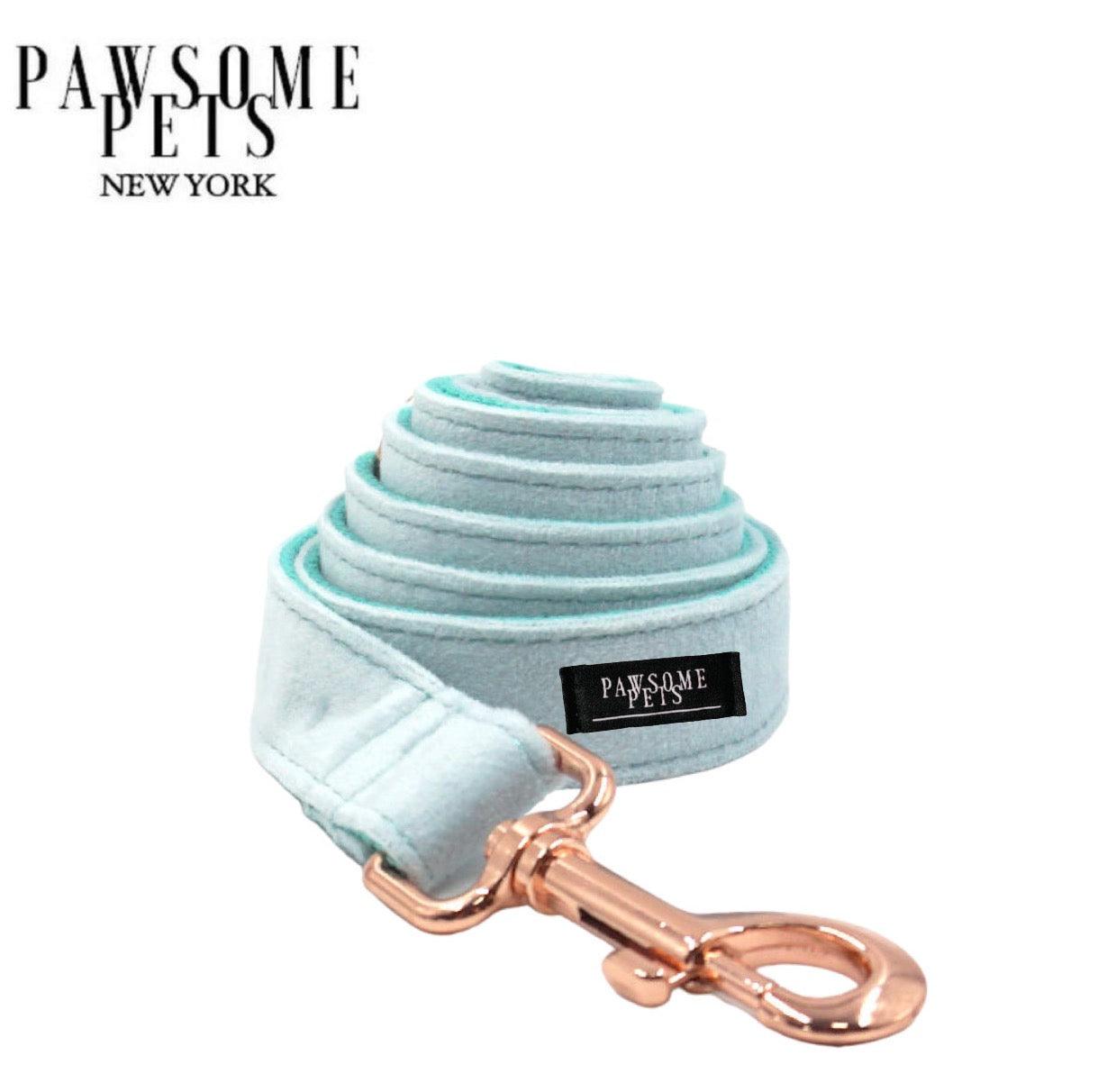 LEASH - MINT GREEN - Pawsomepetsnewyork
