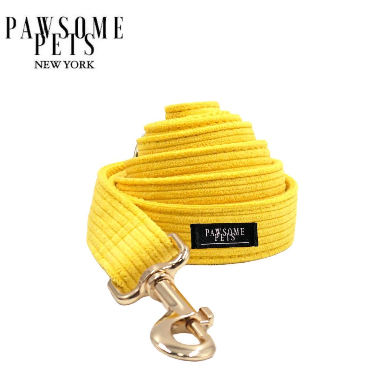 LEASH - BRIGHT YELLOW - Pawsomepetsnewyork