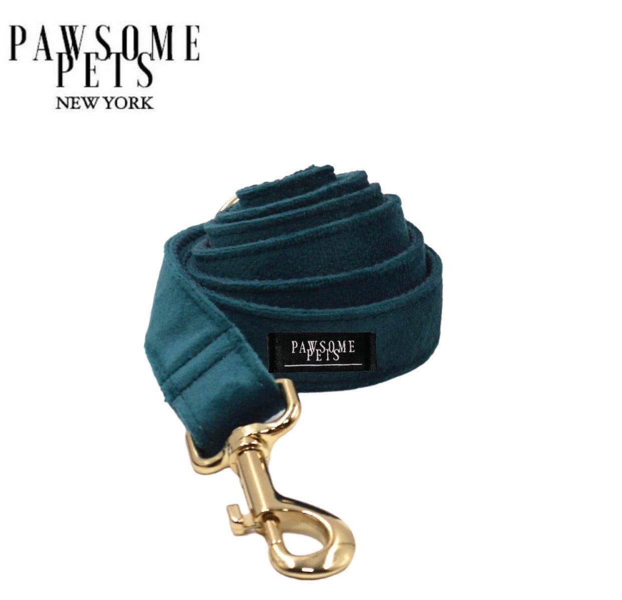 LEASH - VIRIDIAN - Pawsomepetsnewyork