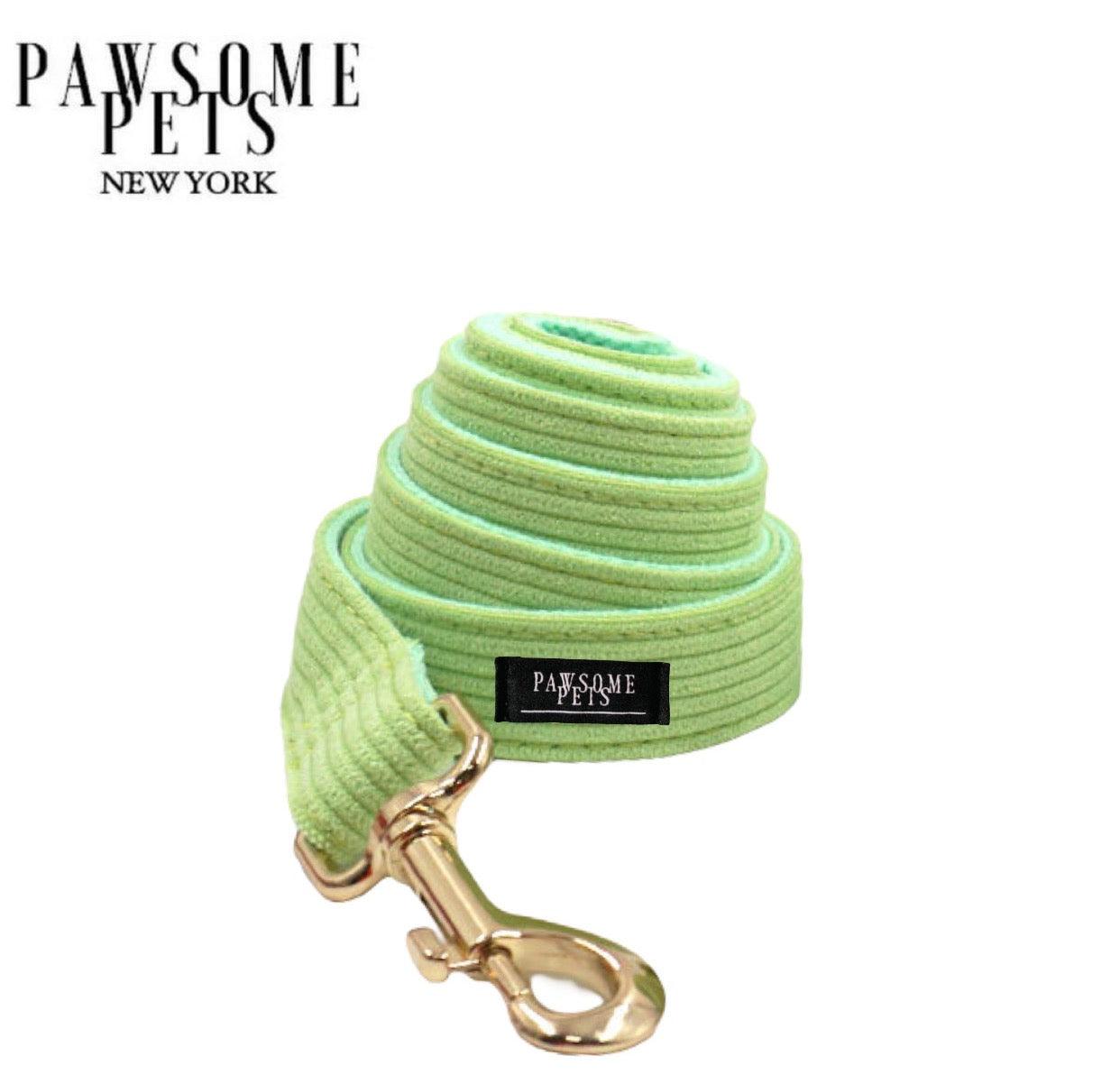 LEASH - MEADOW GREEN - Pawsomepetsnewyork
