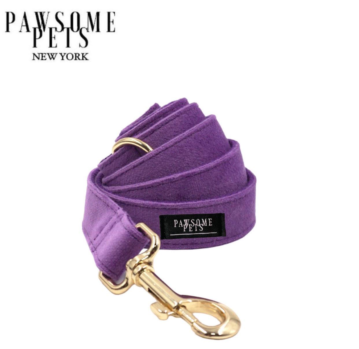 LEASH - AMARANTH - Pawsomepetsnewyork