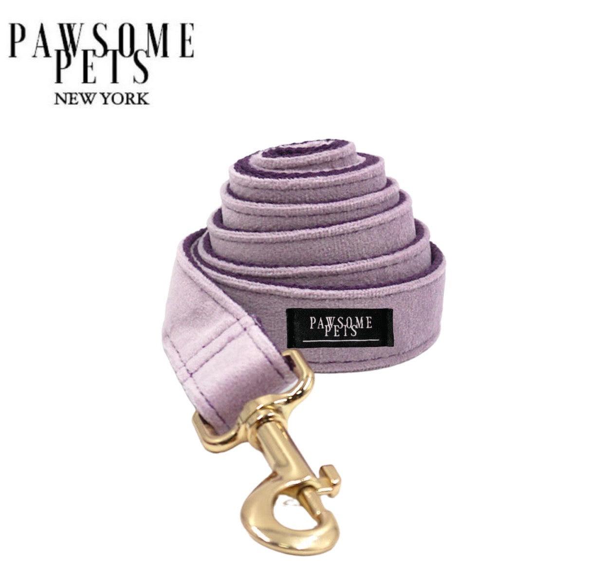 LEASH - VIOLET - Pawsomepetsnewyork