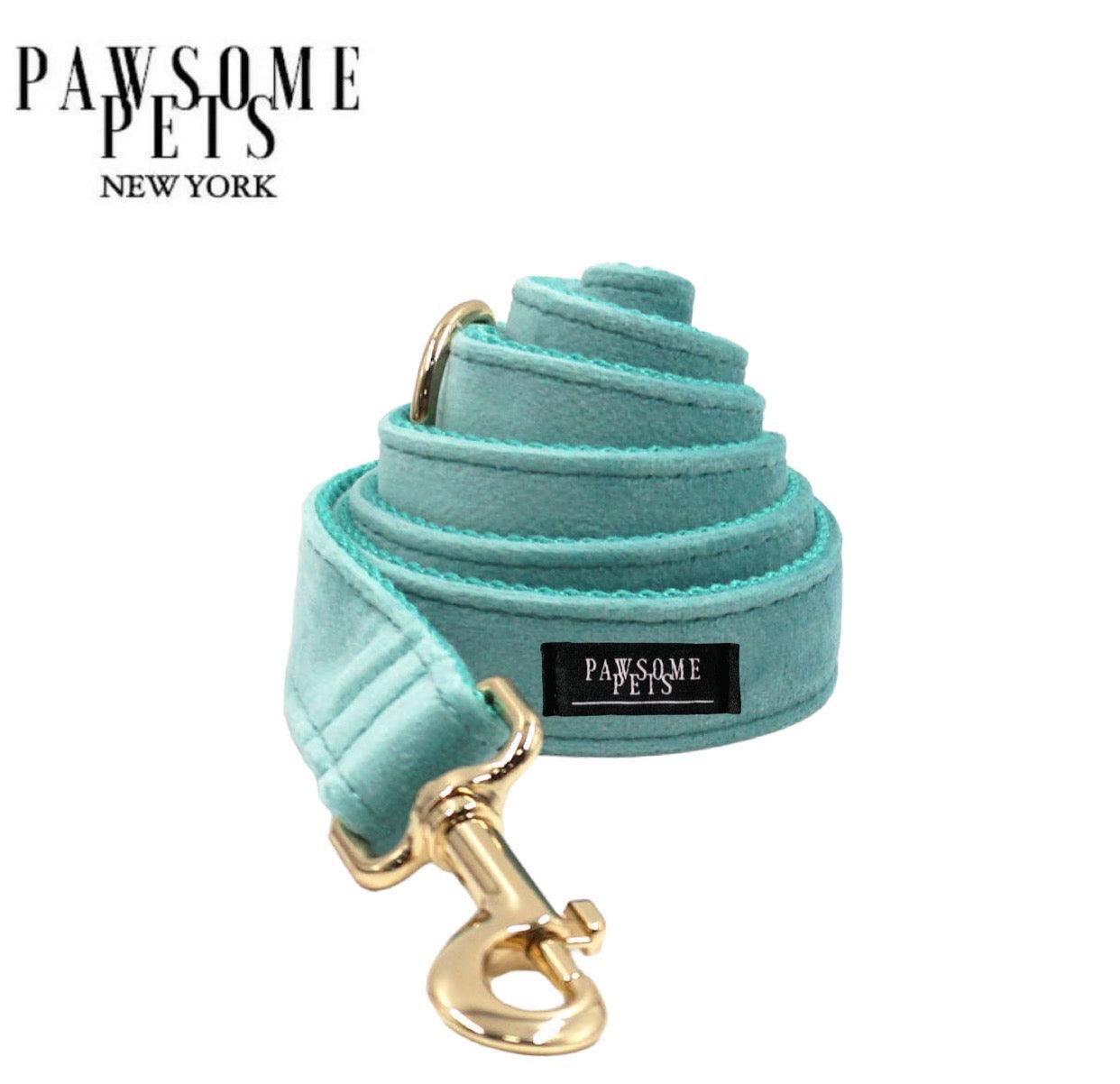 LEASH - RIVER BLUE - Pawsomepetsnewyork