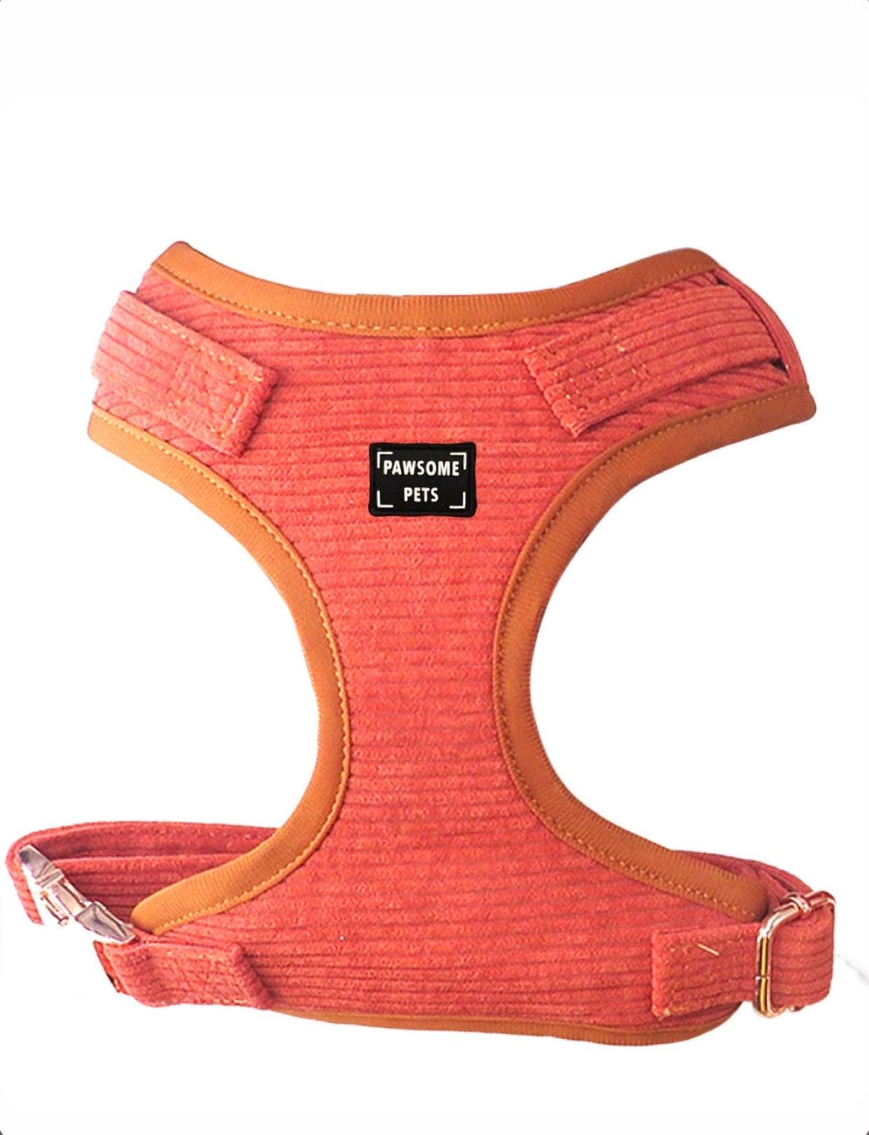 ADJUSTABLE HARNESS - CARROT - Pawsomepetsnewyork