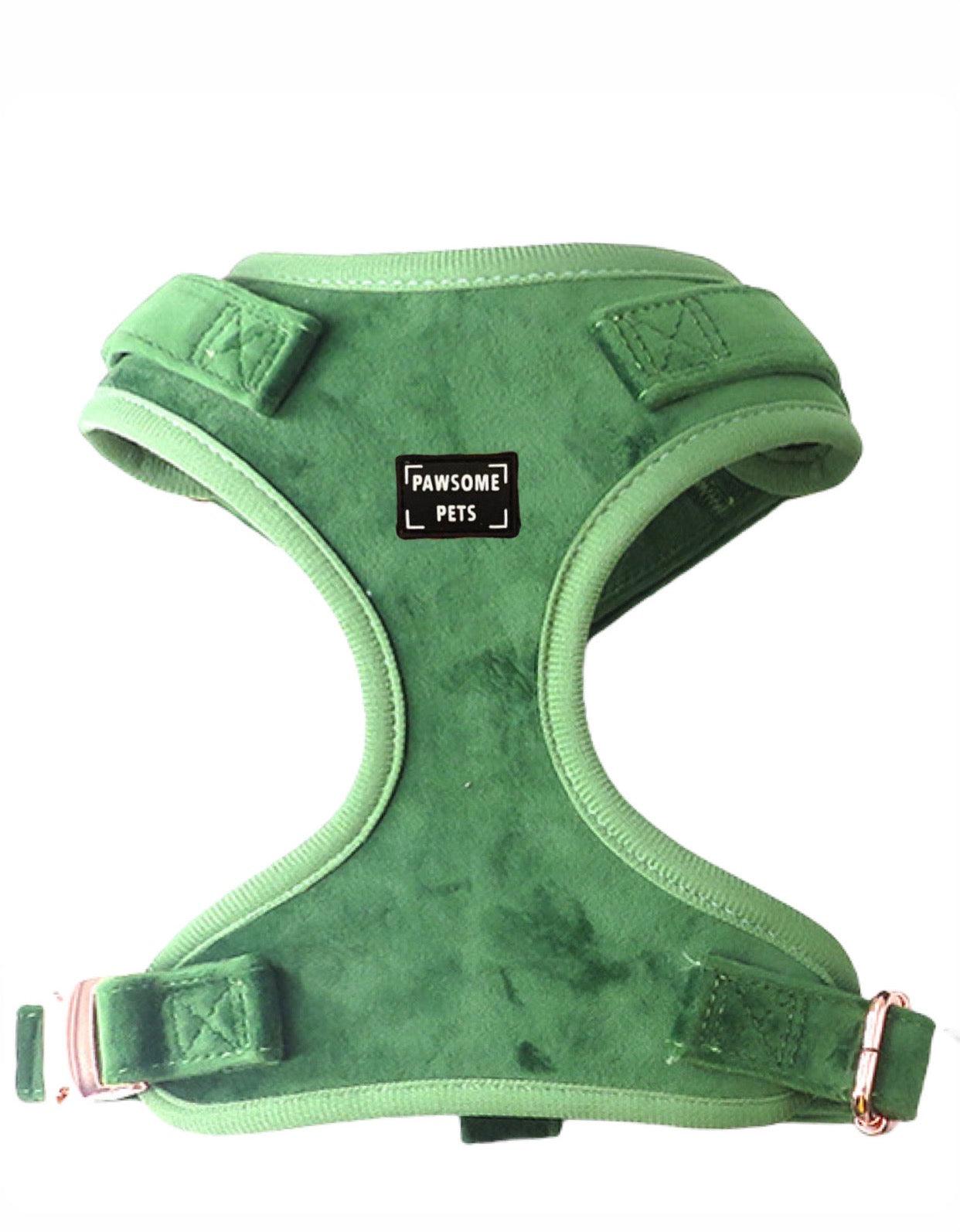 ADJUSTABLE HARNESS - CELESTE - Pawsomepetsnewyork