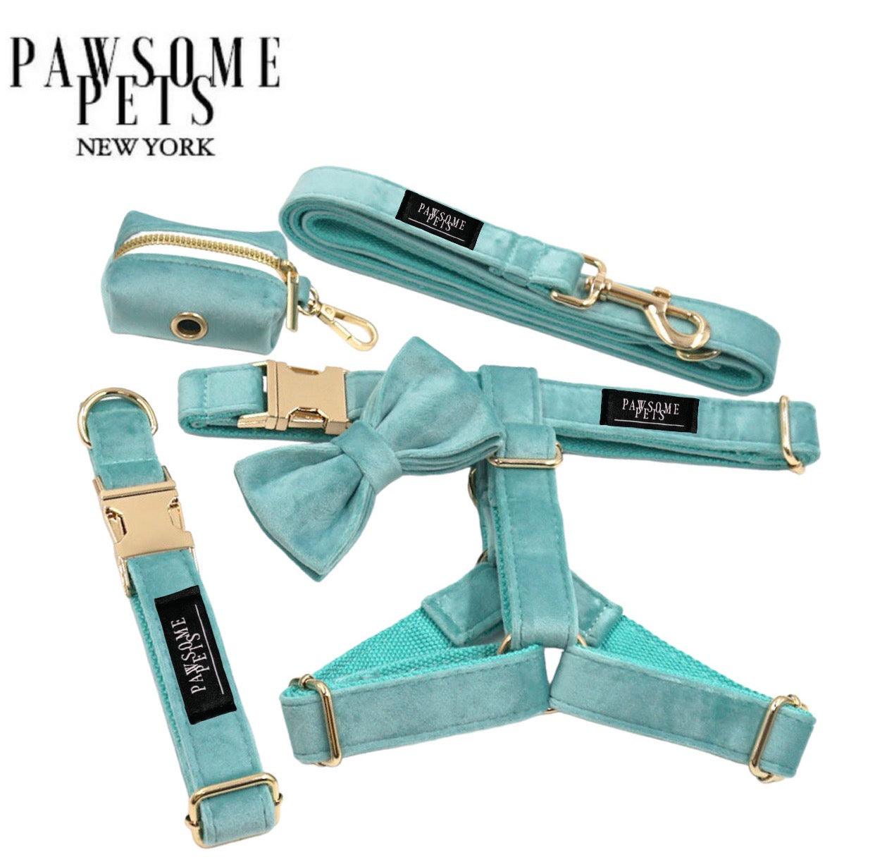 STEP IN BUNDLE - MINT GREEN (5 PIECES) - Pawsomepetsnewyork