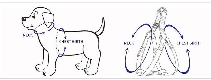 STEP IN BUNDLE - BLUE (5 PIECES) - Pawsomepetsnewyork