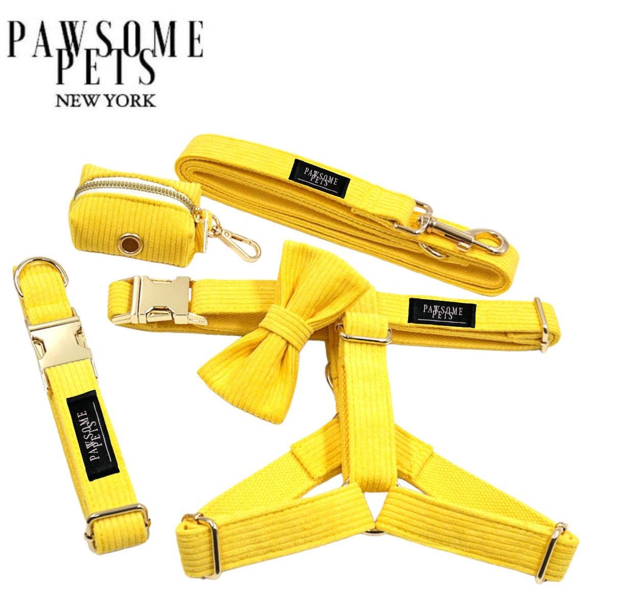 STEP IN BUNDLE - BRIGHT YELLOW (5 PIECES) - Pawsomepetsnewyork