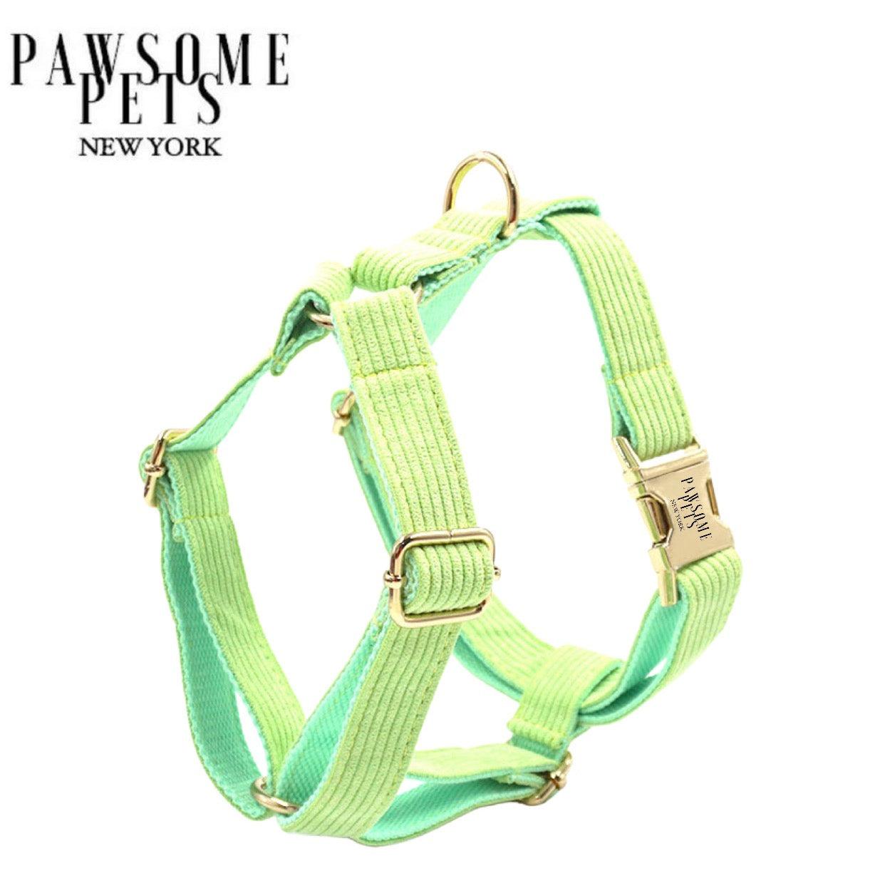 STEP IN HARNESS - LIGHT GREEN - Pawsomepetsnewyork