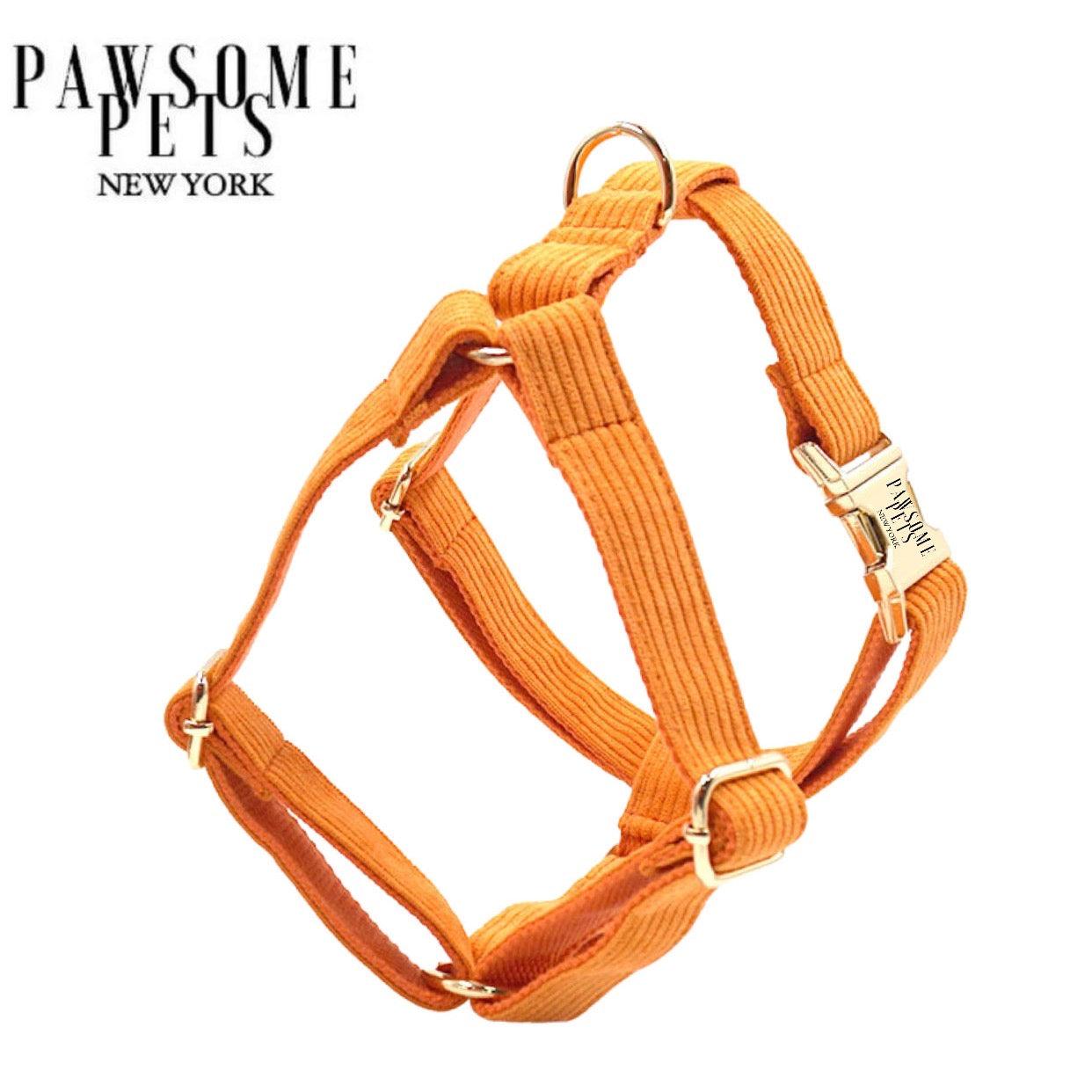 STEP IN HARNESS - ORANGE - Pawsomepetsnewyork