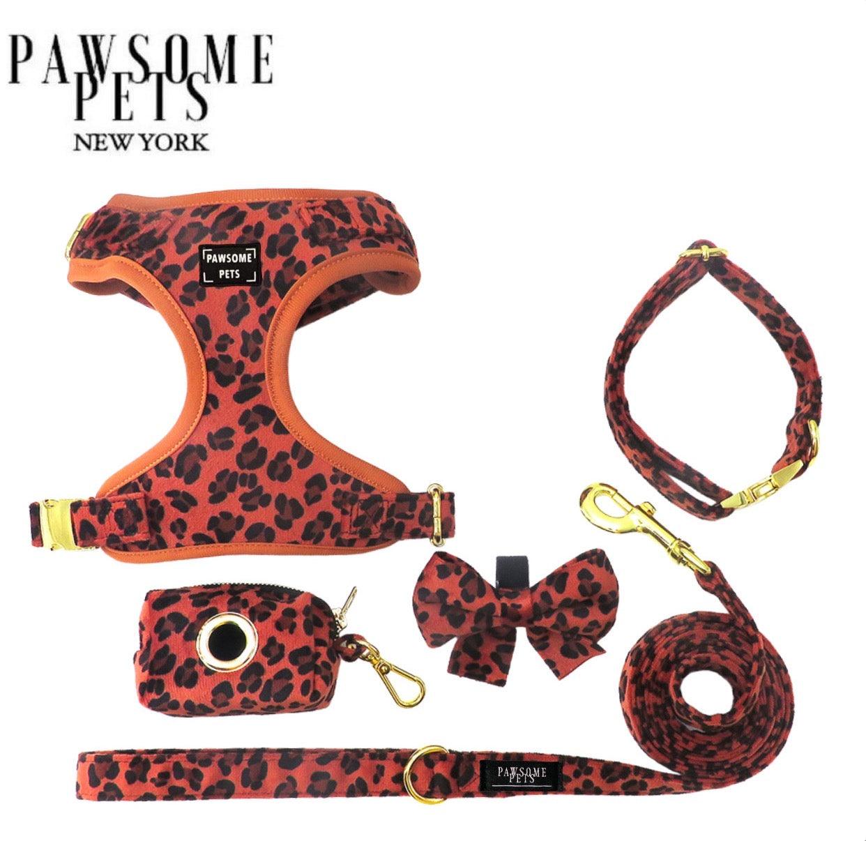 BUNDLE - ORANGE LEOPARD - Pawsomepetsnewyork