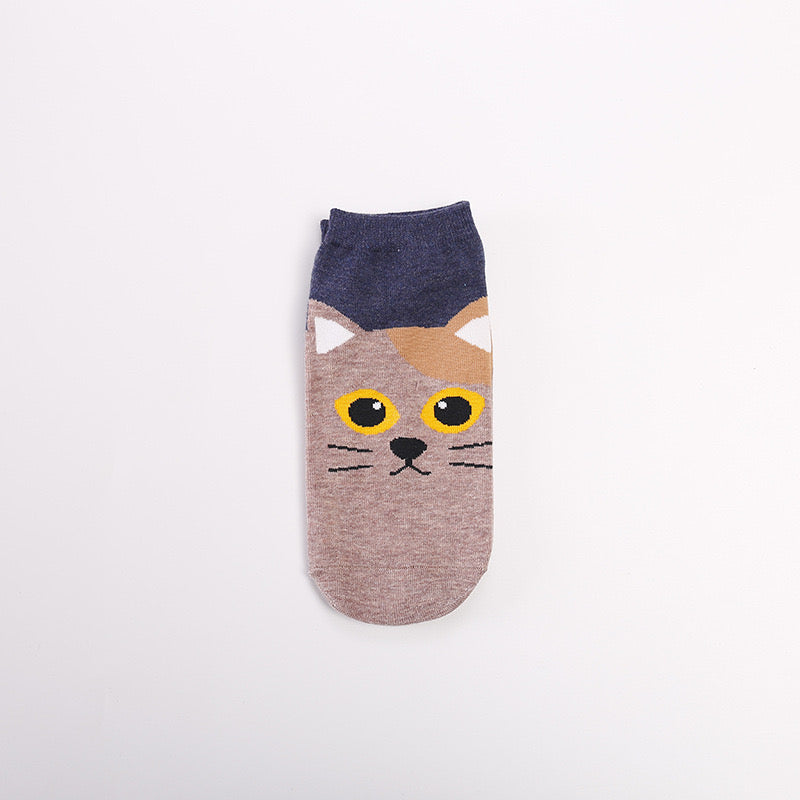 Pawsome Socks #2