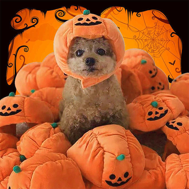 Pumpkin Halloween Costume Pets Hats