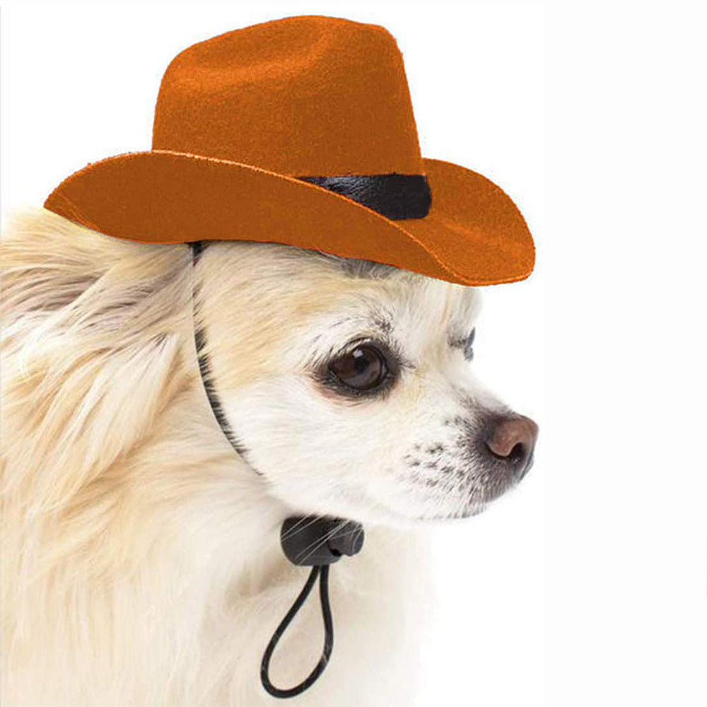 Cowboy Pets Cool Hat