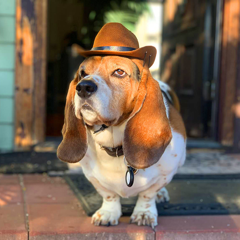 Cowboy Pets Cool Hat