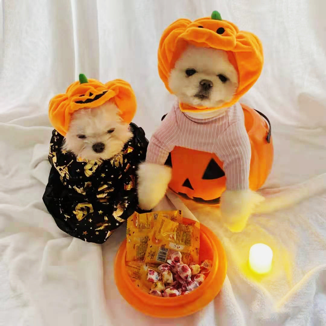 Pumpkin Halloween Costume Pets Hats