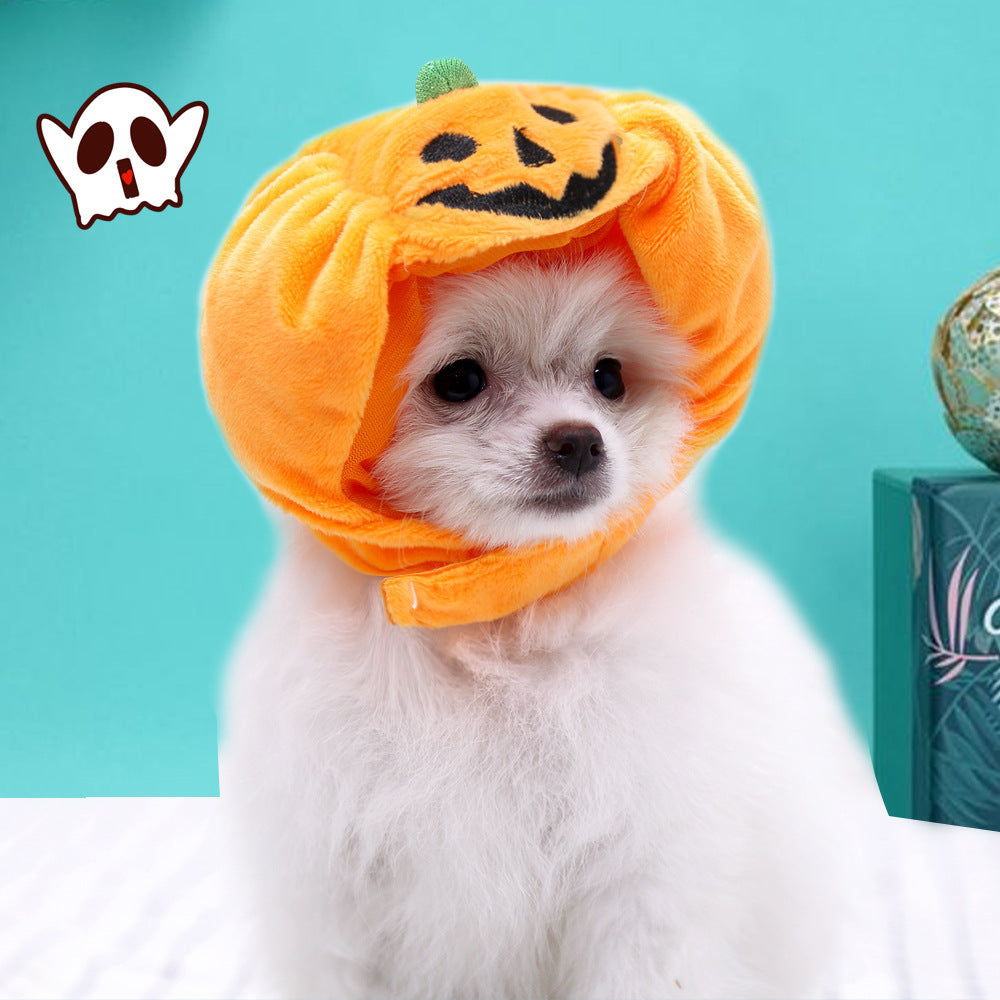 Pumpkin Halloween Costume Pets Hats