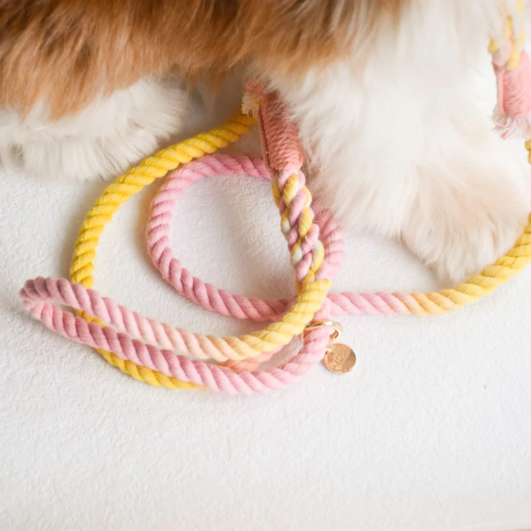 HANDS FREE DOG ROPE LEASH - OH MY MARSHMALLOW