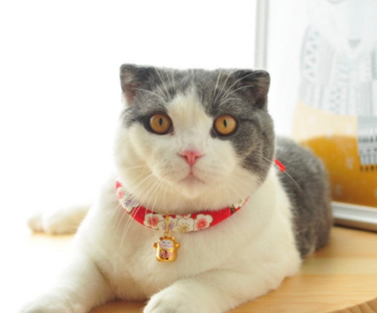 Florence Pink Cotton collar For CATS & DOGS 🌸Japanese style collar🎌Handmade Pets Collar and Pets bell~Sakura Handmade🎏