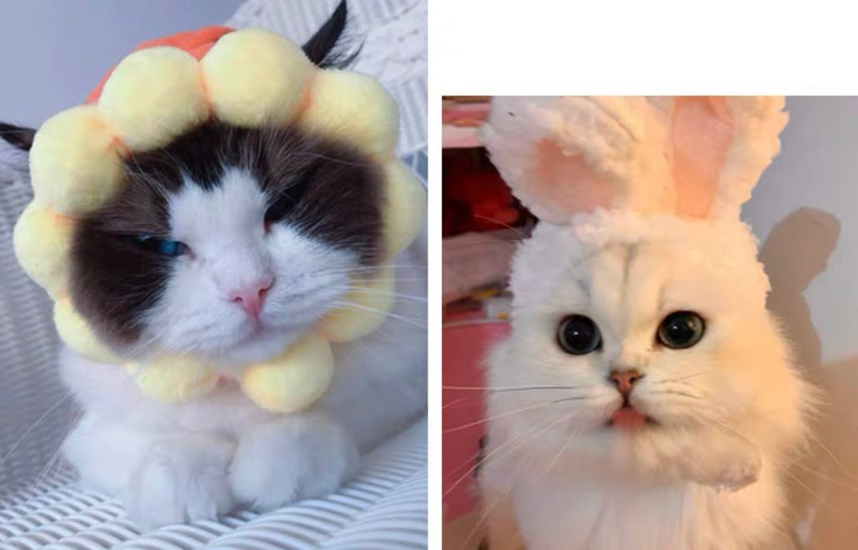 Bunny Bonnet For pets