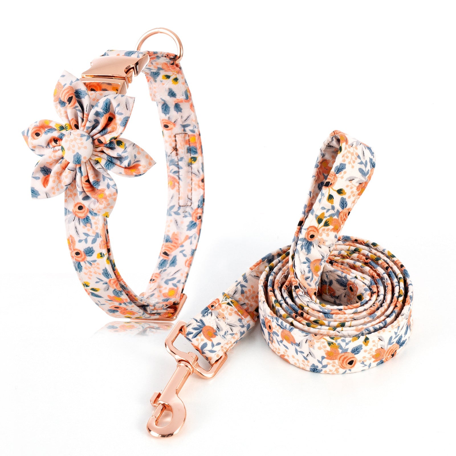 Spring Day Collar & leash Set