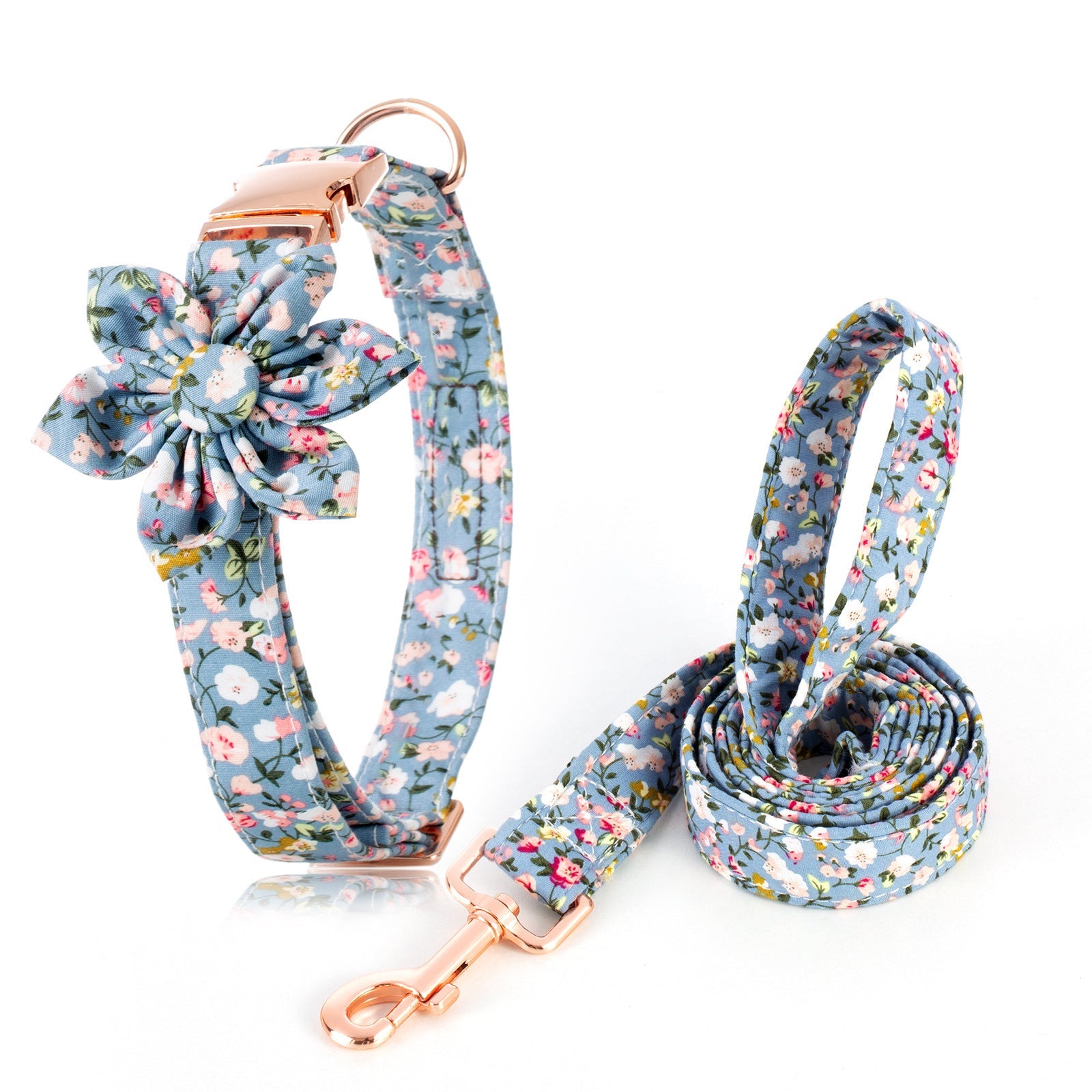 The Lucy Collar & Leash Set