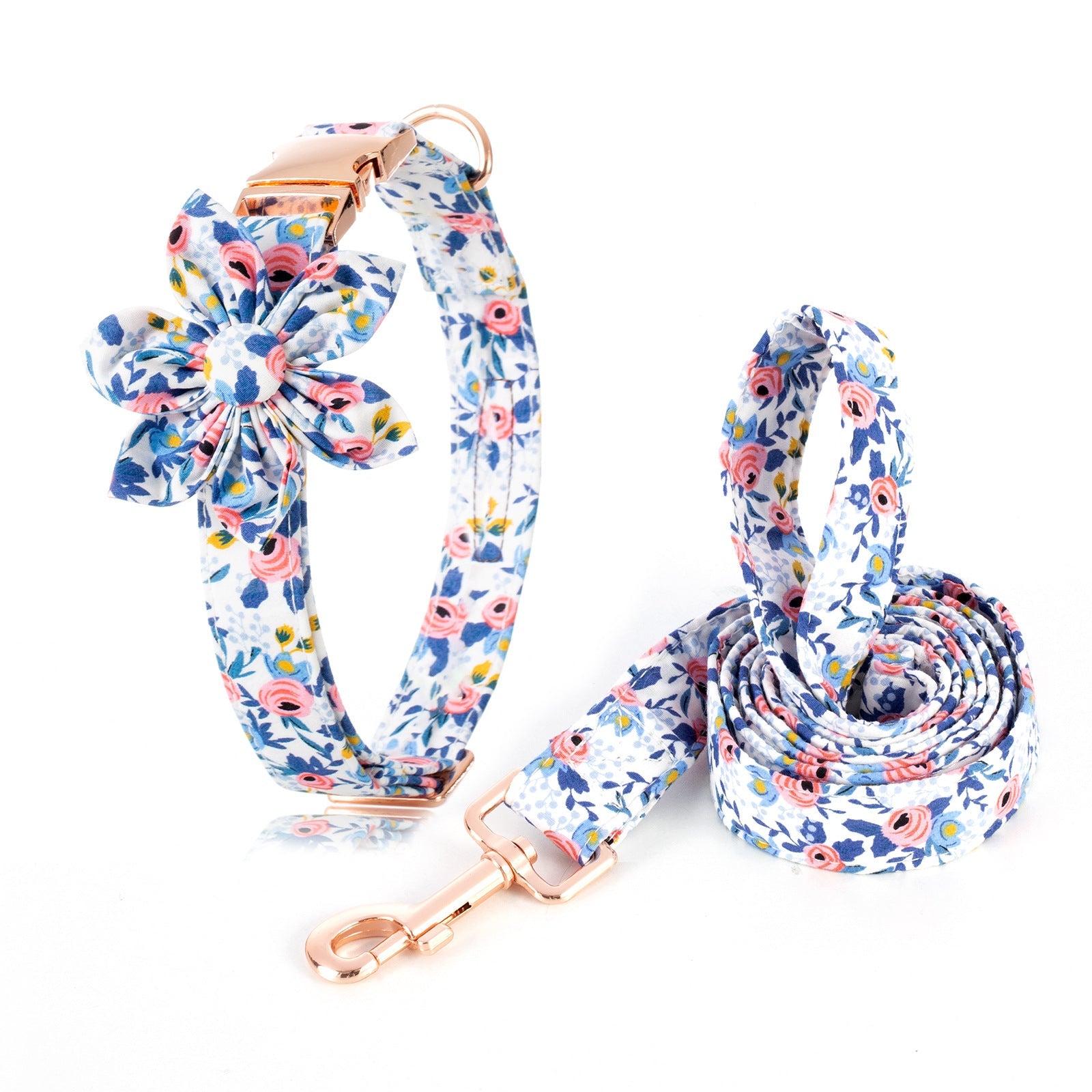 The Bailey Collar & leash Set