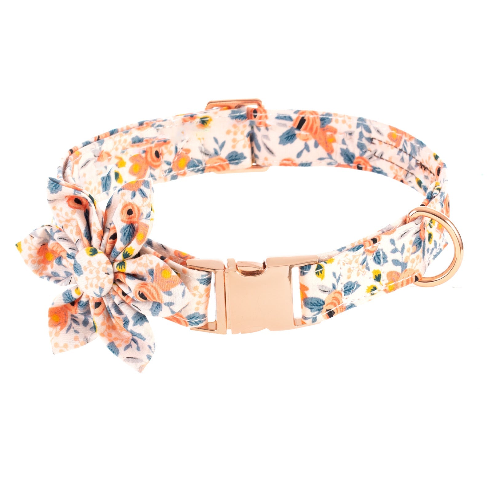 Spring Day Collar & leash Set