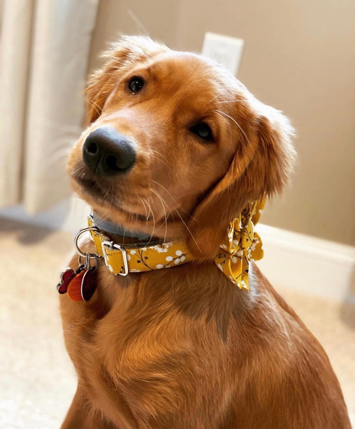 Black Pearl Floral collar & leash set