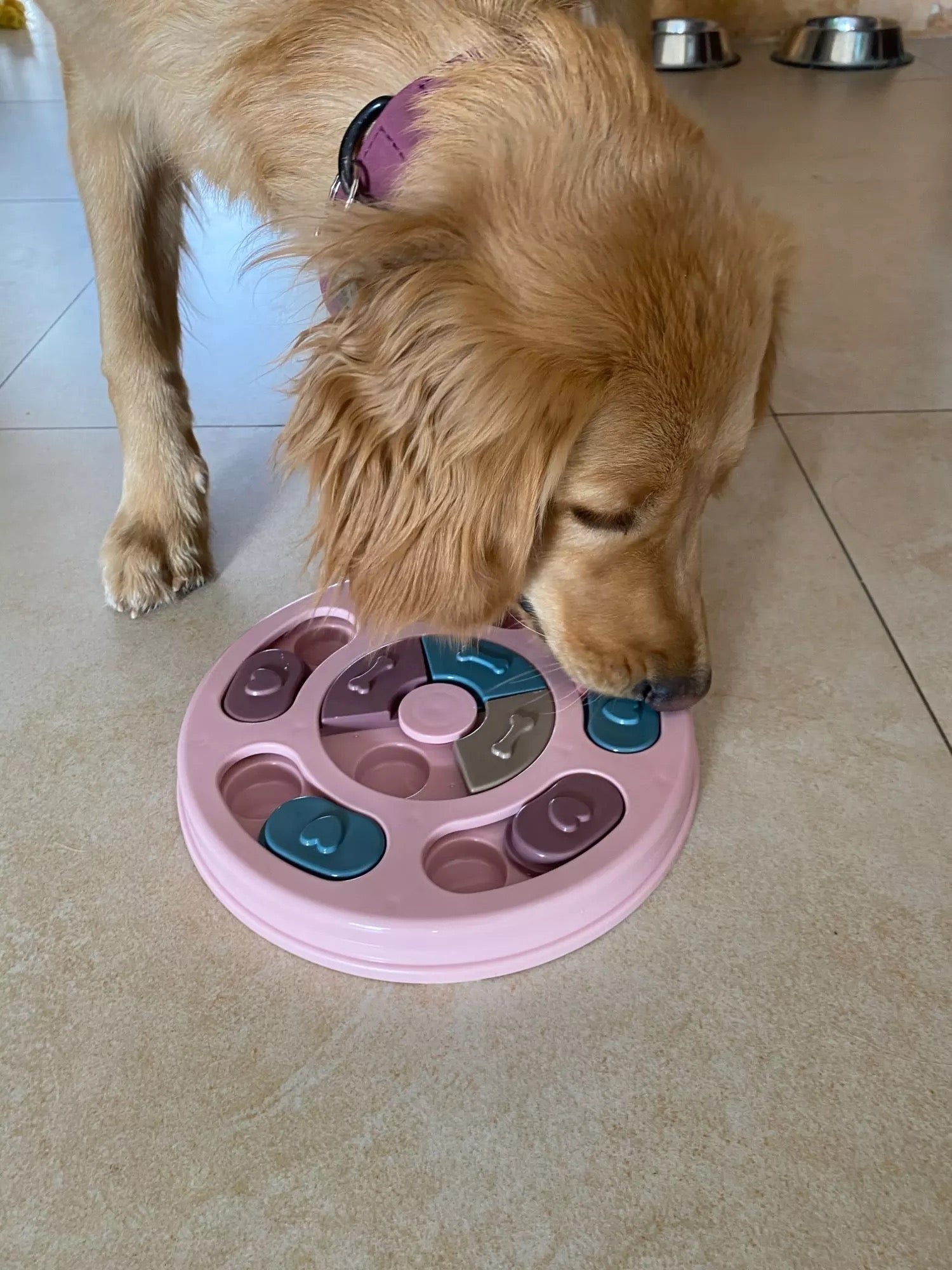 New Interactive Toy IQ Training Pets Slow Feeder Bowl Puzzle Eating Toys for Dogs and Cats