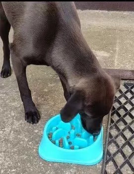 Slow Feeder Bowl Slow Feeder Bath Pet Supplies Pet Accessories  Slow Feeder Bowl For Cats and Dogs Slow Feeder Bowls