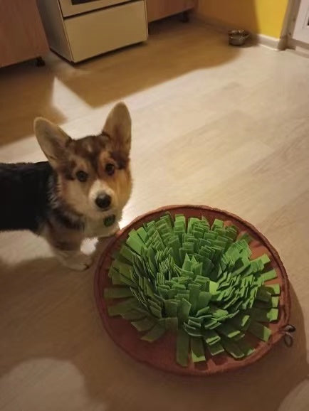 New Interactive Puzzle Toys Encourage Natural Foraging Skills Portable Nonslip Pet Snuffle Mat Slow Feeder Easy To Clean