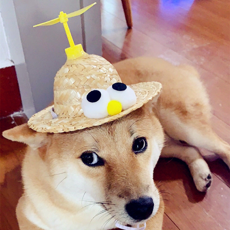 Sunflower Hat for pets